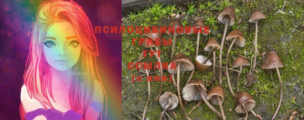 бутират Елизово