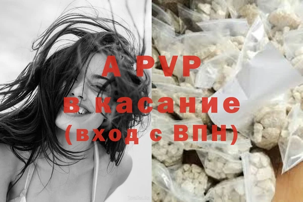 PSILOCYBIN Елабуга