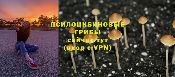 бутират Елизово