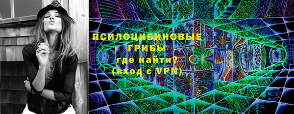 PSILOCYBIN Елабуга
