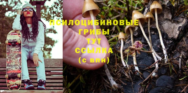 PSILOCYBIN Елабуга