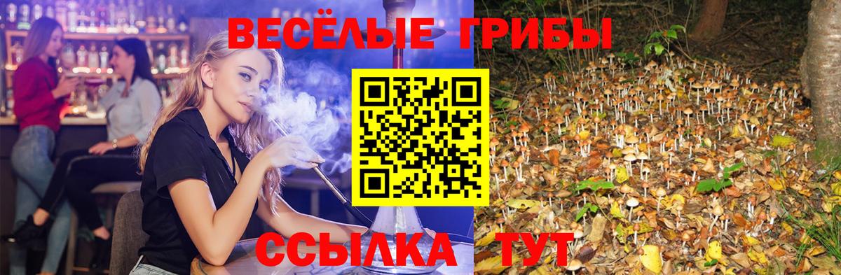 Галлюциногенные грибы прущие грибы  Вход с VPN  Осинники  Галлюциногенные грибы мухоморы 